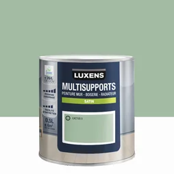 Peinture cactus 5 mur, boiserie, radiateur LUXENS satine 0.5 l