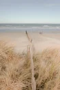 Verre imprime Bord de plage, multicouleur CEANOTHE l.45 x H.65 cm