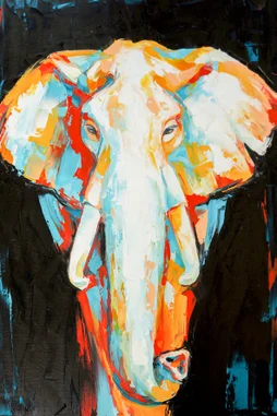 Toile imprimée Eléphant Coloré, CEANOTHE l.65 x H.97 cm multicouleur