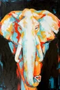 Toile imprimée Eléphant Coloré, CEANOTHE l.65 x H.97 cm multicouleur