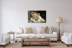 Verre imprimé Lion Cub, CEANOTHE, l.97 x H.65 cm marron, blanc et noir