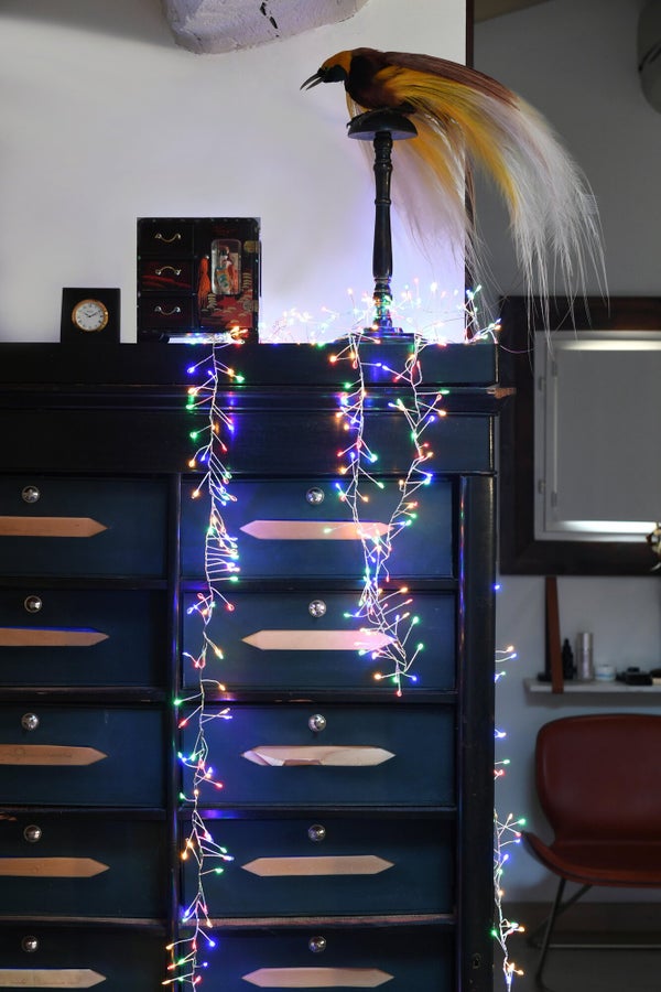 Guirlande micro led grappe 9m muticolore  BLACHERE ILLUMINATION