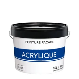Peinture acrylique extérieure pour façade, 10 L blanc mat