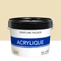 Peinture acrylique extérieure pour façade, 10 L ton pierre
