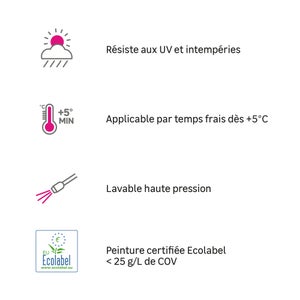 Peinture exterieure facade Universelle LUXENS ton pierre 10L+20% gratuit