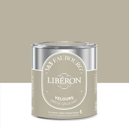 Peinture grège galuchat multisupport 163 faubourg LIBÉRON velours 0.5 l