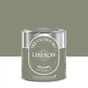 Peinture vert ombelle multisupport 163 faubourg LIBÉRON velours 0.5 l