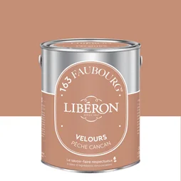 Peinture pêche cancan multisupport 163 faubourg LIBÉRON velours 2.5 l