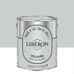 Peinture gris fer blanc multisupport 163 faubourg LIBÉRON velours 2.5 l