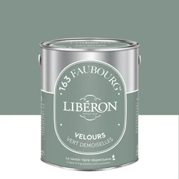 Peinture vert demoiselles multisupport 163 faubourg LIBÉRON velours 2.5 l