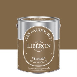 Peinture brun arabique multisupport 163 faubourg LIBÉRON velours 2.5 l