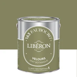Peinture vert botanique multisupport 163 faubourg LIBÉRON velours 2.5 l