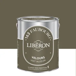 Peinture vert museum multisupport 163 faubourg LIBÉRON velours 2.5 l