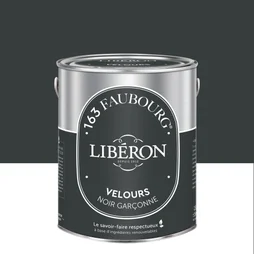 Peinture noir garçonne multisupport 163 faubourg LIBÉRON velours 2.5 l
