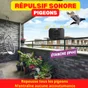 Répulsif sonore pour pigeons 5 à 6 mètres ou 20 à 40 m²