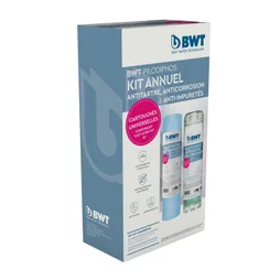 Kit entretien annuel cartouche anti impuretés BWT