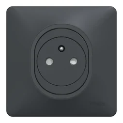 Prise avec terre affleurante complet Ovalis, SCHNEIDER ELECTRIC, gris anthracite