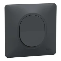 Lot de 5 interrupteurs va-et-vient complet Ovalis SCHNEIDER ELECTRIC, anthracite
