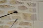 Impermeabilisant facade mur exterieur, GUARD 5 L