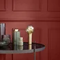 Peinture aspect velours murs, boiseries et radiateurs, biosourcée, ENVIE, rouge éclat, 2 litres