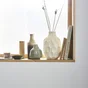 Peinture aspect velours murs, boiseries et radiateurs, biosourcée ENVIE, blanc, 0.5 litre
