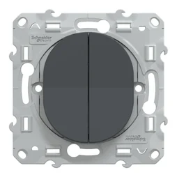 Double interrupteur à assembler Ovalis, SCHNEIDER ELECTRIC, anthracite
