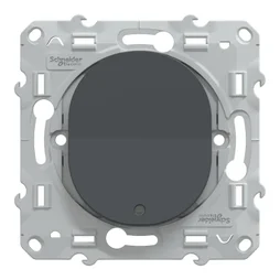 Interrupteur lumineux à assembler Ovalis, SCHNEIDER ELECTRIC, anthracite
