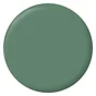 Testeur peinture vert comic mat Interieur RIPOLIN 75 ml