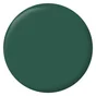 Testeur peinture vert cardo mat Interieur RIPOLIN 75 ml