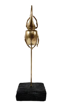 Objet décoratif résine l.8 x H.26 cm, scarabée