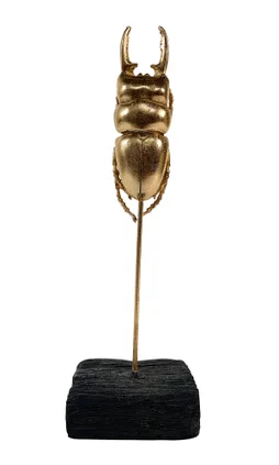 Objet décoratif résine l.8 x H.26 cm, scarabée