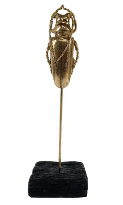 Objet décoratif résine l.8 x H.26 cm, scarabée