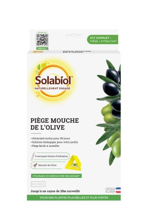 Mouche olive piege pheromone SOLABIOL