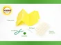 Mouche olive piege pheromone SOLABIOL