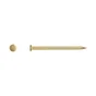 Sachet de 65 clous laiton, STANDERS, tête ronde, L.16 mm