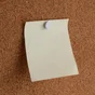 Sachet de 55 clous PVC, STANDERS, tête bombée, L.8 mm