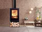 Poêle à bois Quetzal Bucher Ecodesign, 7.5 kW noir