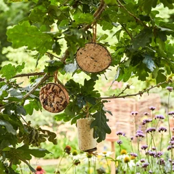 Cylindre de graisse aux cacahuètes