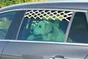 Grille de securite auto pour chien fenetre