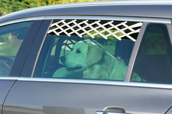 Grille de securite auto pour chien fenetre