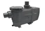 Pompe de piscine avec préfiltre SPID'O, 750W