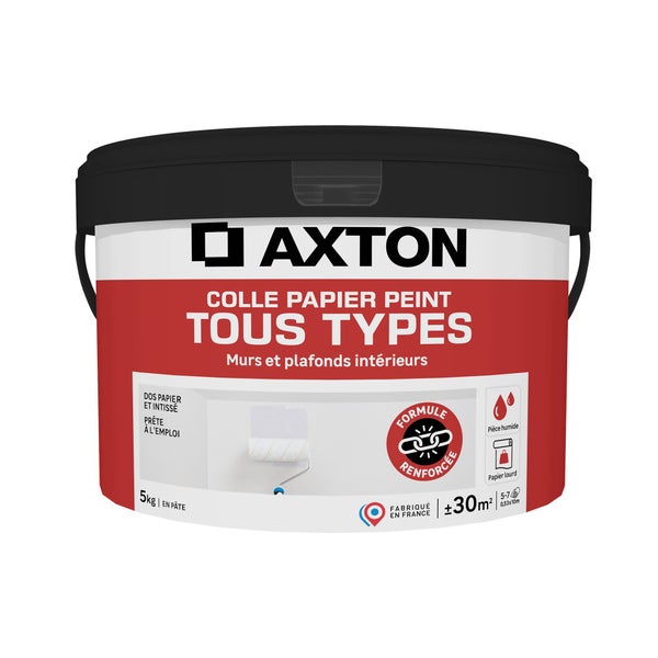 Colle papier peint Pâte tous types AXTON, 5 kg