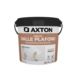 Colle Dalle de plafond polystyrène AXTON, 1 kg