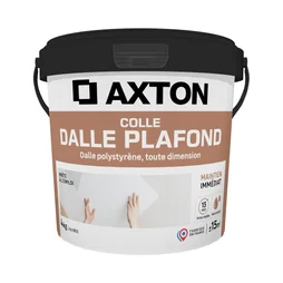 Colle Dalle de plafond polystyrène AXTON, 4 kg