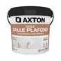 Colle Dalle de plafond polystyrène AXTON, 4 kg