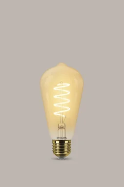 Ampoule décorative led ambré edison E27, PHILIPS, 40 W blanc très chaud