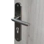 Lot de 2 poignées porte Tolbiac a cylindre LINEA BERTOMANI, entraxe 195mm nickel satine