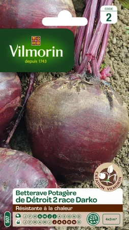 Graine de potager betterave potagère de Détroit darko Vilmorin 5 g
