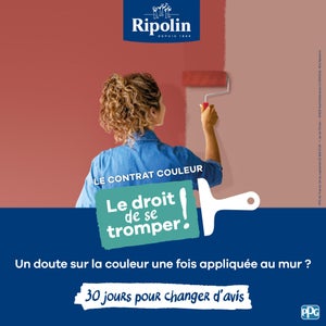 Peinture intérieur mur/boiserie/radiateur satiné, RIPOLIN, rouge chianti, 2.5 litres
