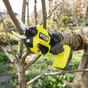 Sécateur sur batterie, RYOBI Ry18scxa-120, 18 volts